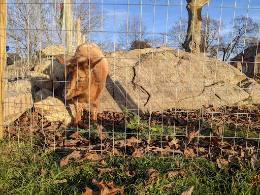 Farm «Houlden Farms», reviews and photos, 139 Old Westboro Rd, North Grafton, MA 01536, USA