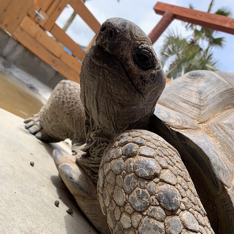 りんちゃん牧場ふれあいパーク 佐賀県伊万里市南波多町高瀬 動物園 グルコミ