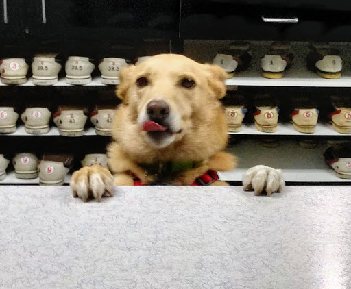 Bowling Alley «Plaza Lanes», reviews and photos, 42001 Ann Arbor Rd, Plymouth, MI 48170, USA