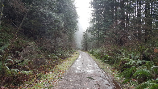 Tourist Attraction «Melmont ghost town», reviews and photos, Carbon River Rd, Carbonado, WA 98323, USA
