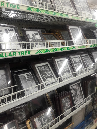 Dollar Store «Dollar Tree», reviews and photos, 1243 E Higgins Rd, Schaumburg, IL 60173, USA