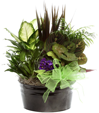 Florist «MyFlorist», reviews and photos, 1984 Chain Bridge Rd, McLean, VA 22102, USA