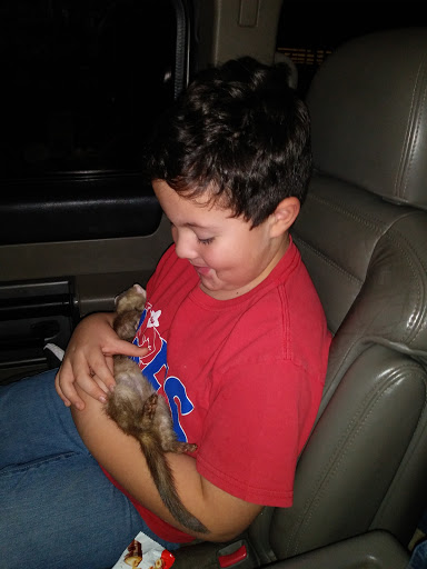 Pet Supply Store «Pet Supplies Plus», reviews and photos, 2575 NC-105 #100, Boone, NC 28607, USA