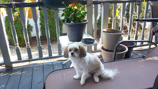 Heritage Animal Hospital image