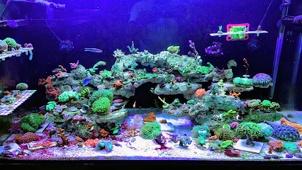 Red Sea aquarium system