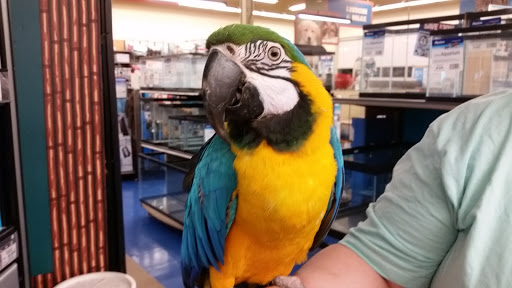 Pet Supply Store «Petco Animal Supplies», reviews and photos, 5631 Grove Blvd, Hoover, AL 35226, USA