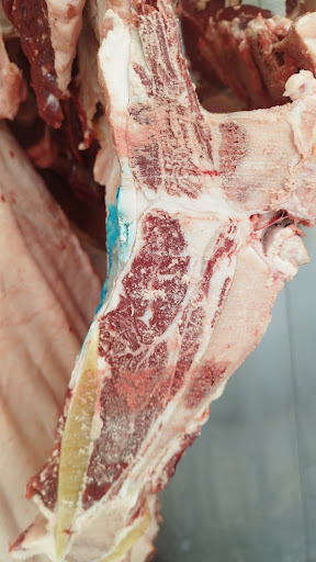 ‎‫ملحمة الشوير‬‎