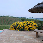 Photo n°1 de l'avis de cinzia.e fait le 10/05/2023 à 19:05 sur le  Farmhouse La Rinaldina à Faenza