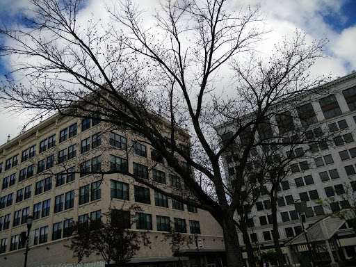 Coffee Shop «The Coffee Ethic», reviews and photos, 124 Park Central Square, Springfield, MO 65806, USA