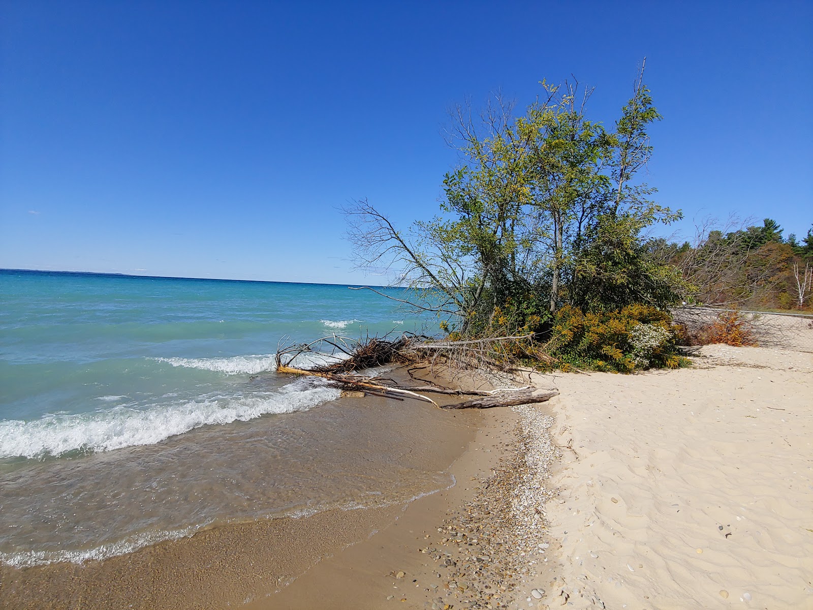Photo de Torch Bay Nature Preserve situé dans une zone naturelle