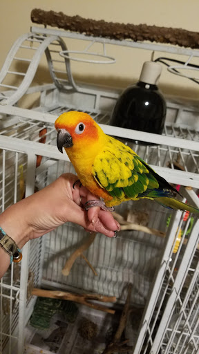 Pet Supply Store «Pet Valu», reviews and photos, 3201 Dayton Xenia Rd, Beavercreek, OH 45434, USA