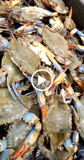 Grocery Store «Americana Grocery», reviews and photos, 10897 Main Street, Fairfax, VA 22030, USA