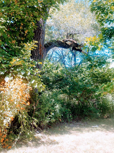 Nature Preserve «Scio Woods Preserve», reviews and photos, Scio Church Rd, Ann Arbor, MI 48103, USA