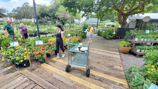 Gardening centre Tampa