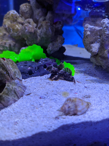 Pet Store «Aquarium Designs», reviews and photos, 15229 San Pedro Ave, San Antonio, TX 78232, USA