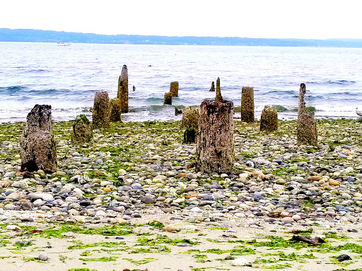 Park «Golden Gardens Park», reviews and photos, 8498 Seaview Pl NW, Seattle, WA 98117, USA