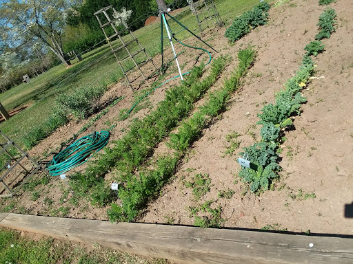 Museum «Barrington Hall», reviews and photos, 535 Barrington Dr, Roswell, GA 30075, USA