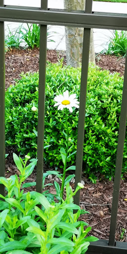 Park «Abernathy Greenway», reviews and photos, 70 Abernathy Rd NE, Sandy Springs, GA 30328, USA