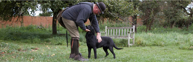 Dovesflight Gundogs | Gundog Training Gloucestershire