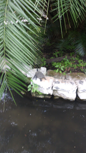 Zoo «Croc Encounters», reviews and photos, 8703 Bowles Rd, Tampa, FL 33637, USA