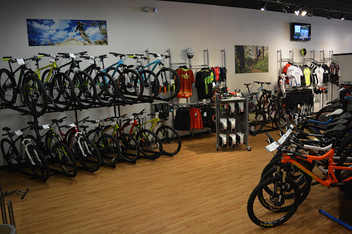 Bicycle Store «Free-Flite Bicycles», reviews and photos, 6014 Sandy Springs Cir, Atlanta, GA 30328, USA