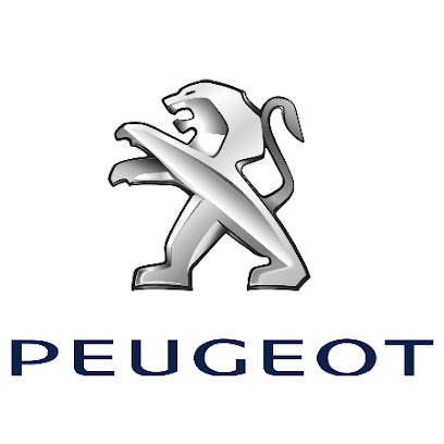 PEUGEOT - STE NELLE DU GARAGE DE FRANCE