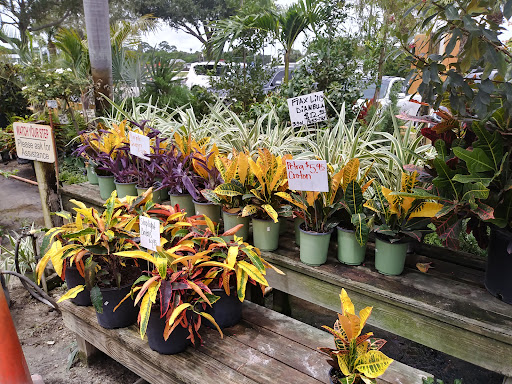 Produce Market «Nelson Family Farms», reviews and photos, 875 W Midway Rd, Fort Pierce, FL 34982, USA