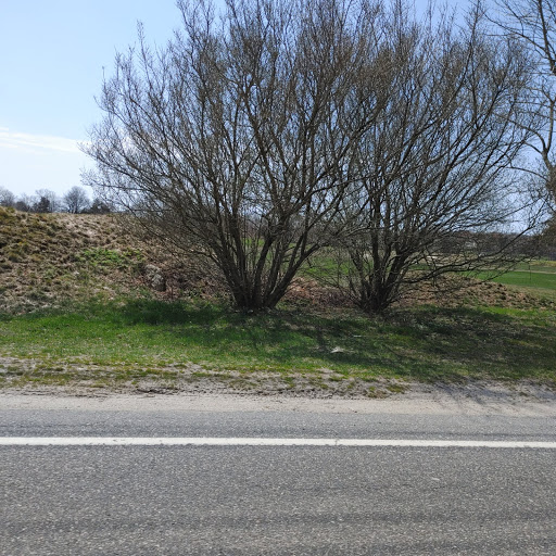 Golf Club «Southampton Golf Club», reviews and photos, 1005 County Rd 39, Southampton, NY 11968, USA