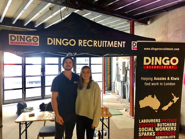 Dingo Recruitment - Employment agency