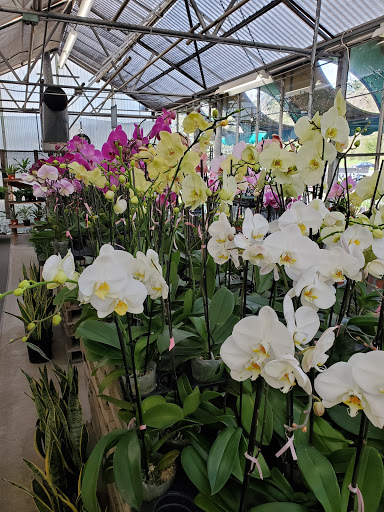 Garden Center «Repetto Florist and Nursery», reviews and photos, 12331 San Mateo Rd, Half Moon Bay, CA 94019, USA