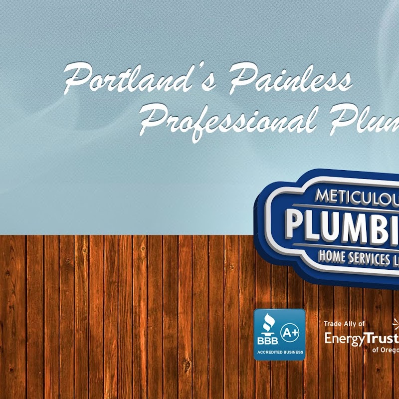 Meticulous Plumbing