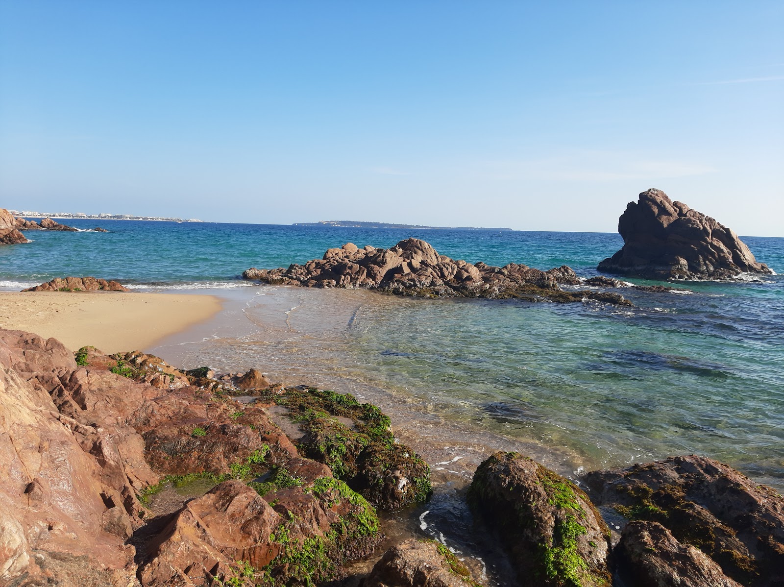 Midi Surveillee beach'in fotoğrafı imkanlar alanı