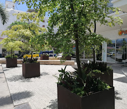 The Park Condominiums photo