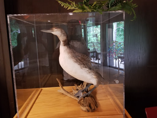 Nature Preserve «Lowry Nature Center», reviews and photos, 7025 Victoria Dr, Victoria, MN 55386, USA