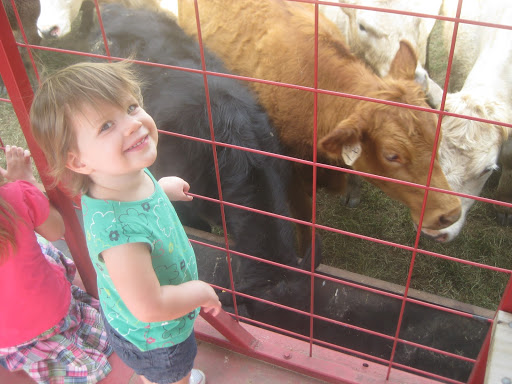 Farm «Warbington Farms (U-Pick Strawberries)», reviews and photos, 5555 Crow Rd, Cumming, GA 30041, USA