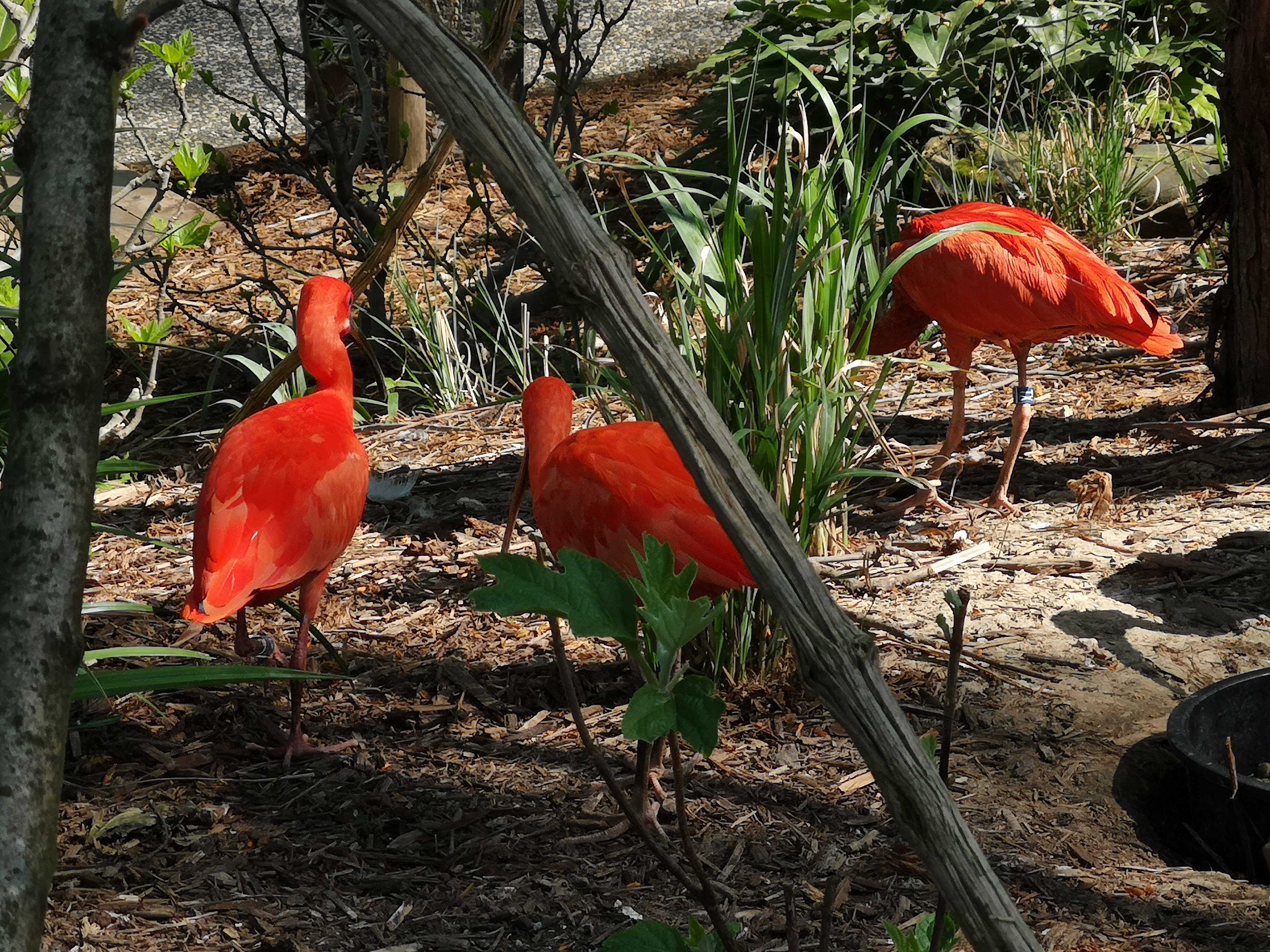 Photo n° 41 de l'avis de Bryan.r fait le 24/04/2018 à 19:19