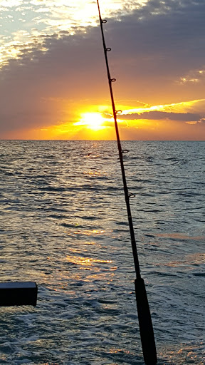 Aquarium «Mote Marine Laboratory & Aquarium», reviews and photos, 1600 Ken Thompson Pkwy, Sarasota, FL 34236, USA