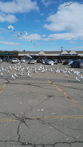 Shopping Mall «Keyser Oak Shopping Center», reviews and photos, 1790 N Keyser Ave, Scranton, PA 18508, USA