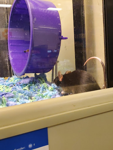 Pet Supply Store «PetSmart», reviews and photos, 170 Marketplace Blvd, Hamilton Township, NJ 08691, USA