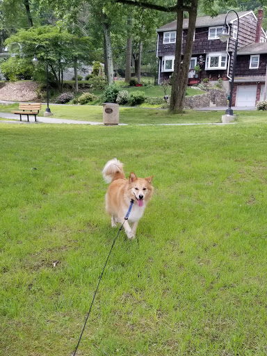 Park «Parks Lake», reviews and photos, Academy St, Rockaway, NJ 07866, USA