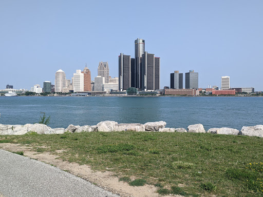 Movimiento tierras Detroit