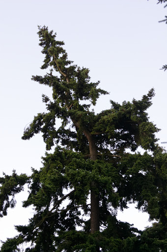 Park «Salmon Bay Park», reviews and photos, 2001 NW Canoe Pl, Seattle, WA 98117, USA