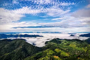 Phu Toei National Park image