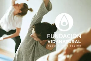 FUNDACIÓN VIDA NATURAL YOGA PRESENCIAL Y ONLINE image