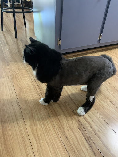 Pet Supply Store «Animal House Grooming & Quality», reviews and photos, 229 W Absecon Blvd, Absecon, NJ 08201, USA