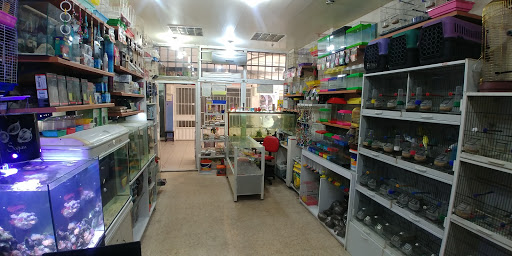 Didim Akvaryum ve Kuş Galerisi | Didim Aydın - Akvaryum Mağazası