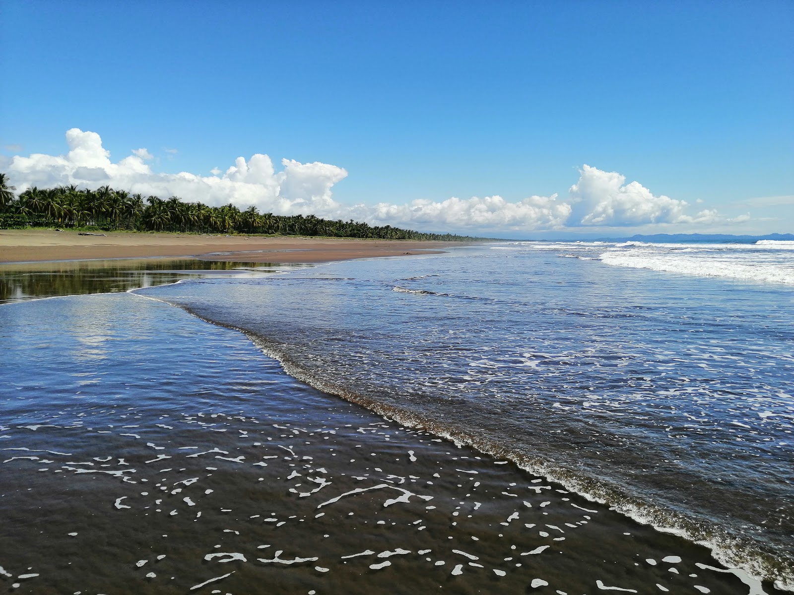 Playa Palo Seco'in fotoğrafı - rahatlamayı sevenler arasında popüler bir yer