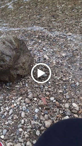 State Park «Brezina Woods», reviews and photos, N La Grange Rd, La Grange Park, IL 60526, USA