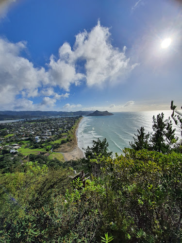 Reviews of Track To The Top Of Mt Pauanui in Pauanui - Other