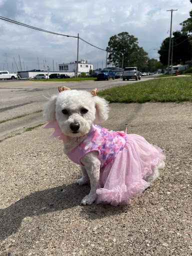 Pet Supply Store «Petco Animal Supplies», reviews and photos, 5239 Harvey St, Norton Shores, MI 49444, USA